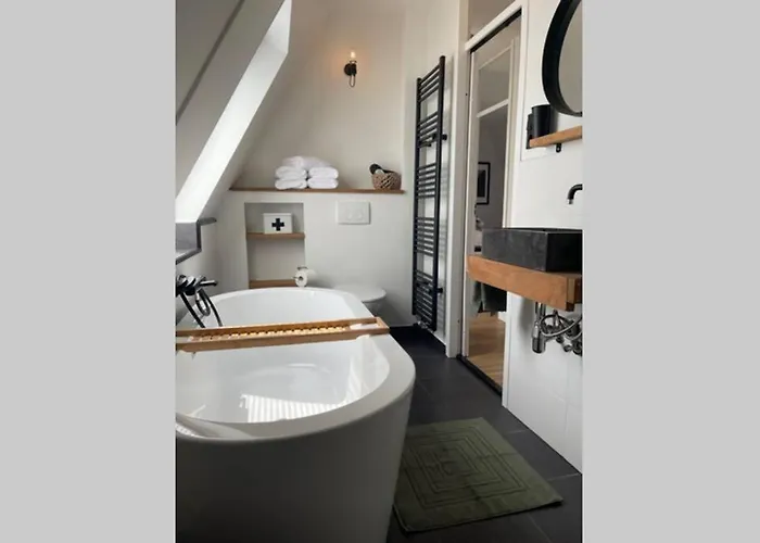 Have A Stay! - Raaff-71 Sfeervol Direct Bij Bos, Duin En Holiday home *