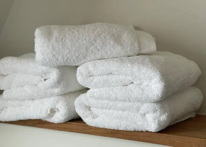 Have A Stay! - Raaff-71 Sfeervol Direct Bij Bos, Duin En Сasa de vacaciones Noordwijk